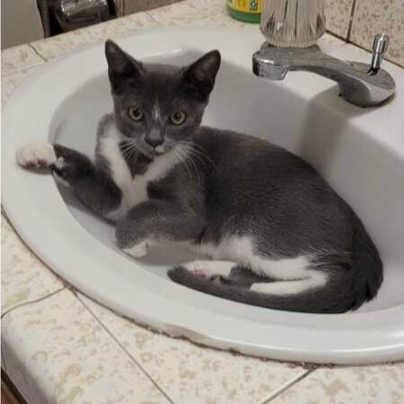 Scott - Picture 15 of 16